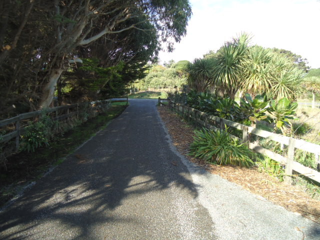 Driveway